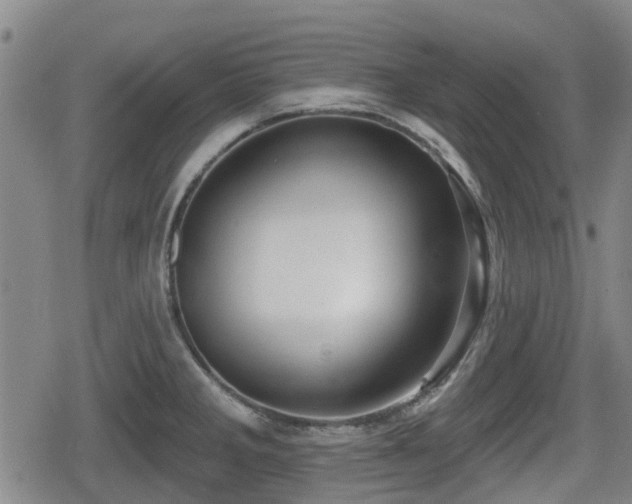 X0000080691285200612221043