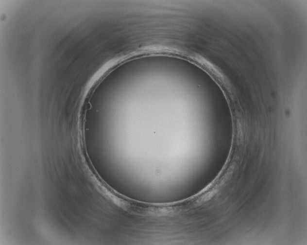 X0000080691286200612221043