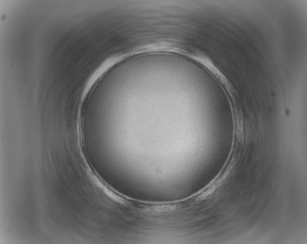 X0000080691294200612221043