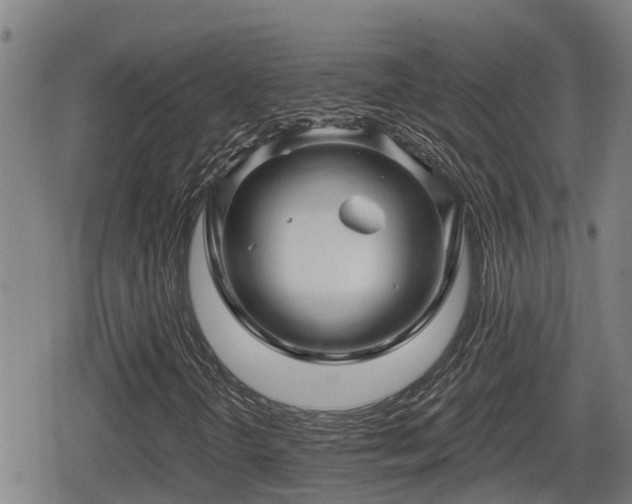 X0000080691298200612221042