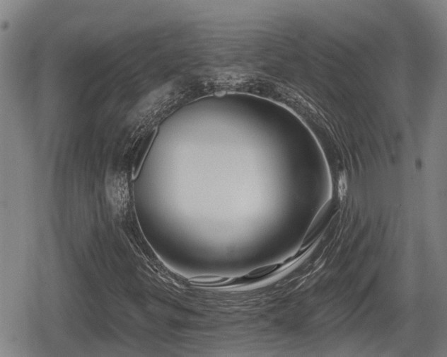 X0000080691299200612221042