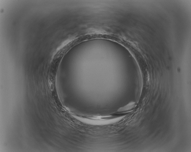 X0000080691303200612221042
