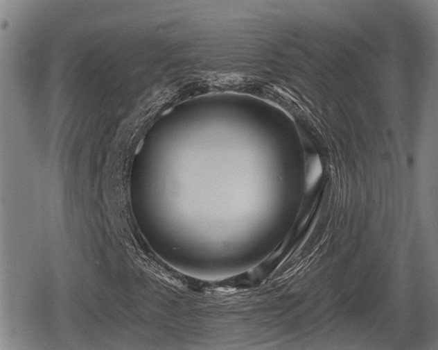 X0000080691345200612221042