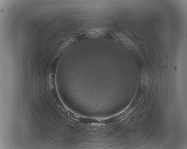 X0000080691346200612221042