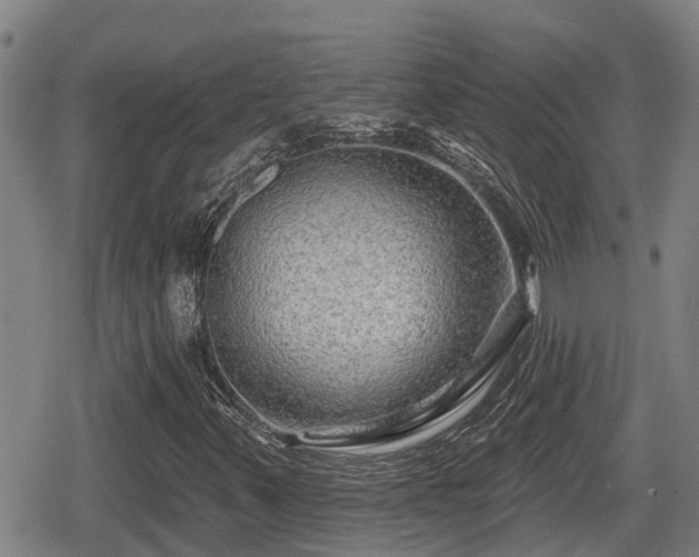X0000080691347200612221042