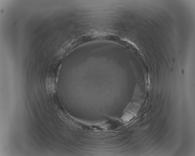 X0000080691348200612221042