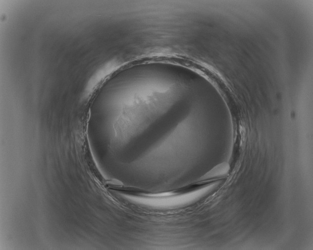X0000080691359200612221042
