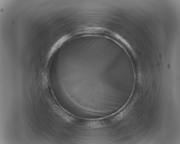 X0000080691362200612221042