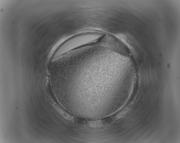 X0000080691363200612221042