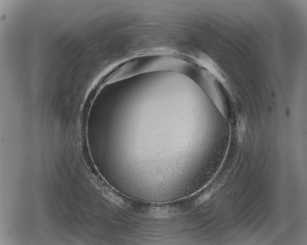 X0000080691364200612221042