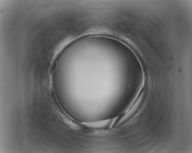 X0000080691366200612221042
