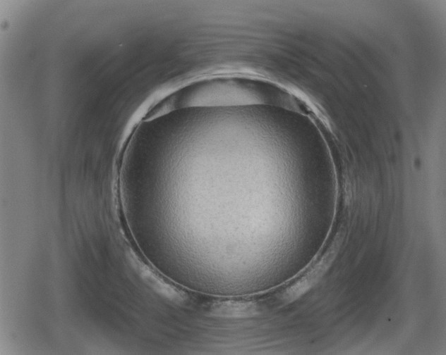 X0000080691374200612221042