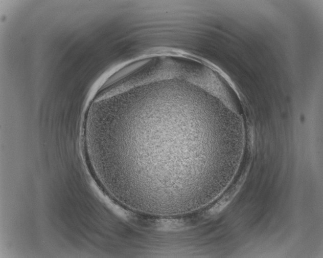 X0000080691379200612221042