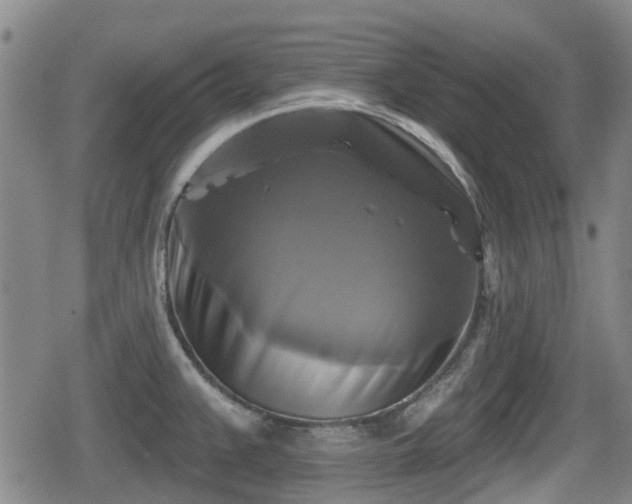 X0000080691383200612221042