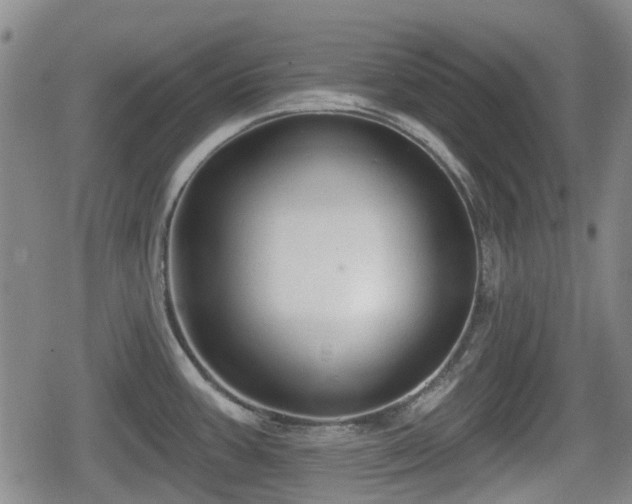 X0000080691387200612221042