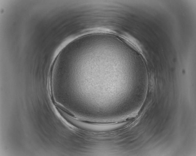 X0000080691391200612221042
