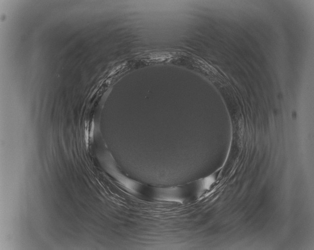 X0000080691394200612221041