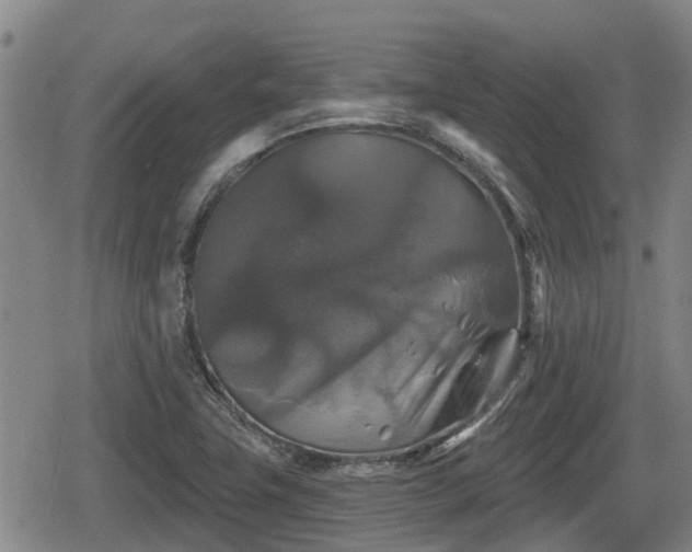 X0000080691411200612221041
