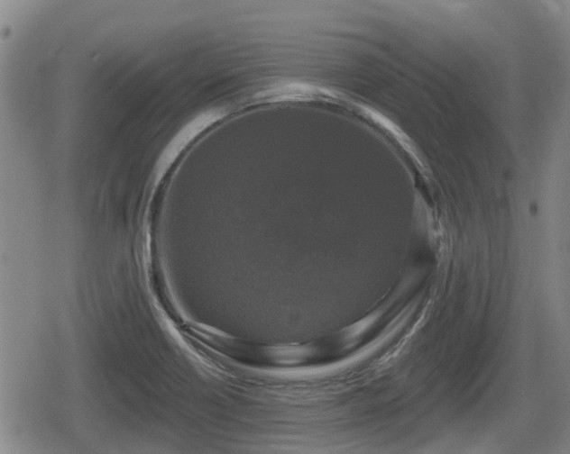 X0000080691418200612221041
