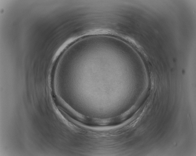 X0000080691422200612221041