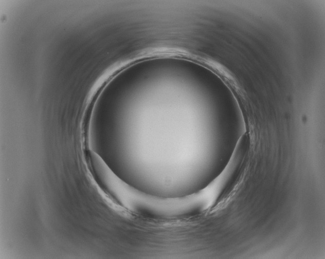 X0000080691430200612221041