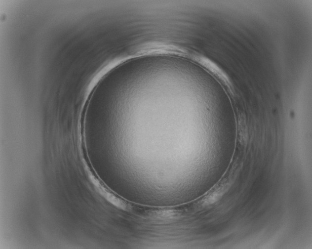 X0000080691431200612221041