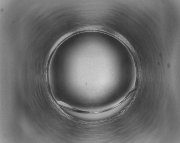 X0000080691436200612221041