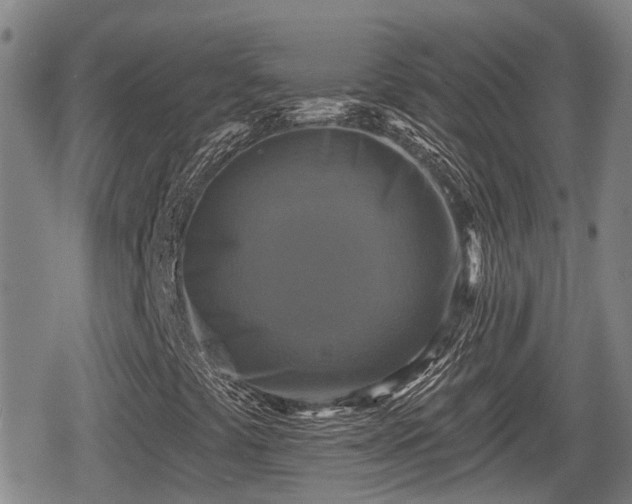 X0000080691441200612221041
