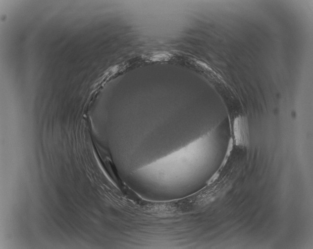 X0000080691443200612221041