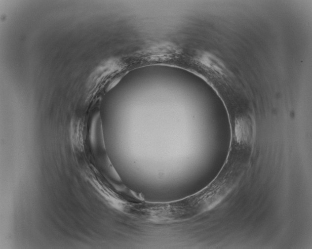 X0000080691444200612221041
