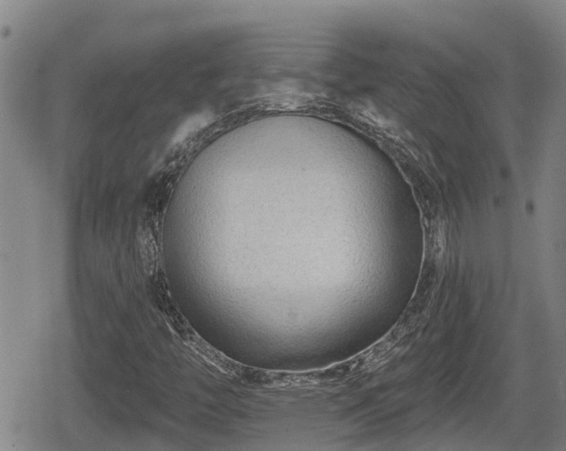 X0000080691446200612221041