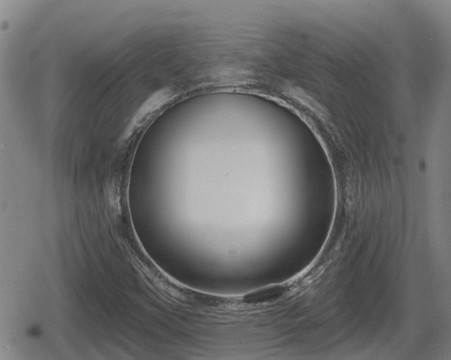 X0000080691451200612221041