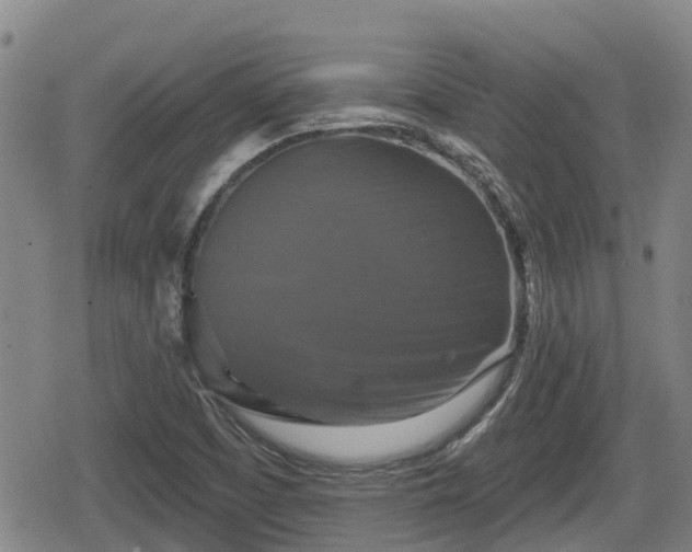 X0000080691457200612221041
