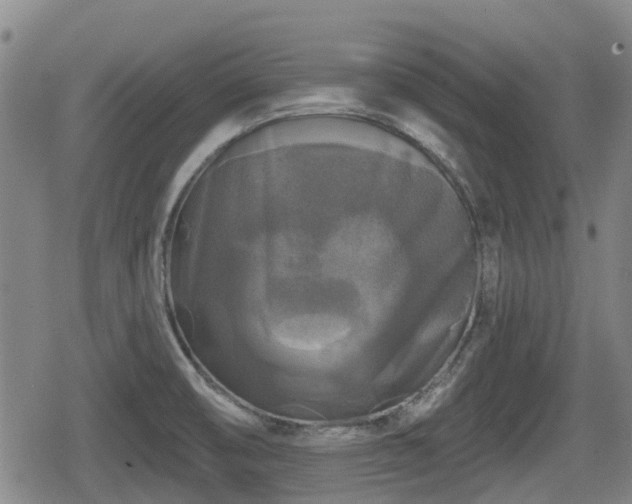X0000080691474200612221040