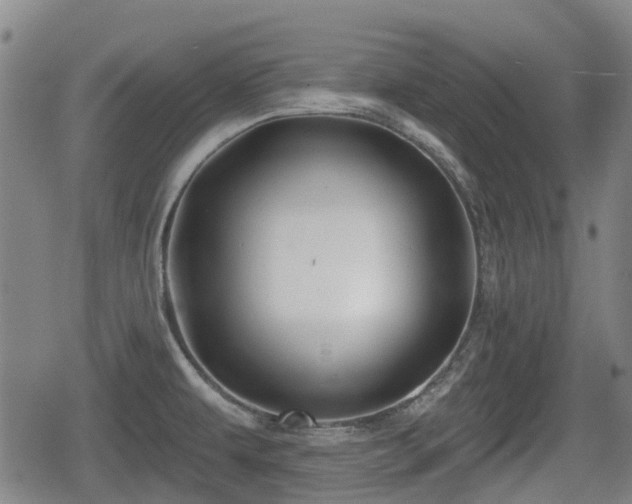 X0000080691479200612221040