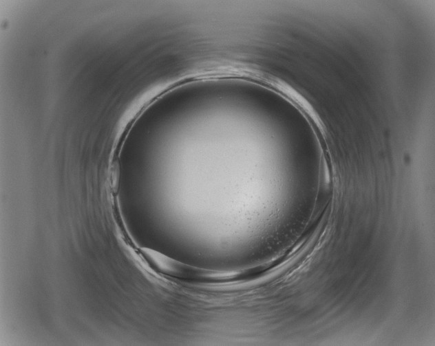 X0000080691485200612221040