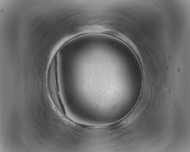 X0000080691488200612221040