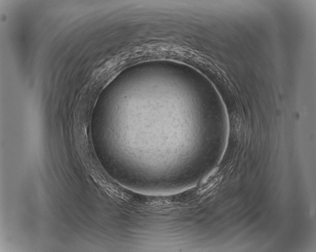 X0000080691489200612221039
