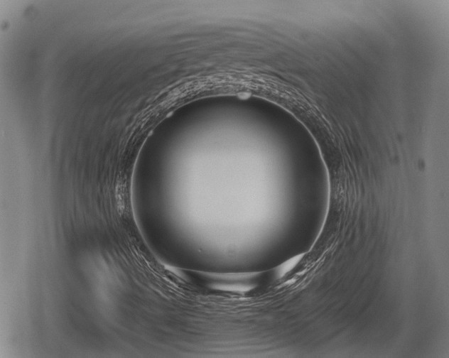 X0000080691490200612221039