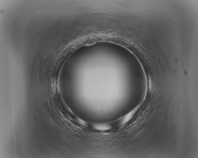 X0000080691492200612221039