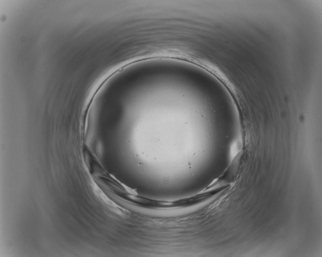X0000080691532200612221040