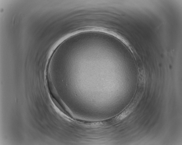 X0000080691535200612221040