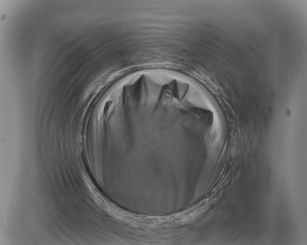 X0000080690002200612301501