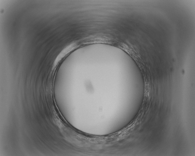 X0000080690004200612301501