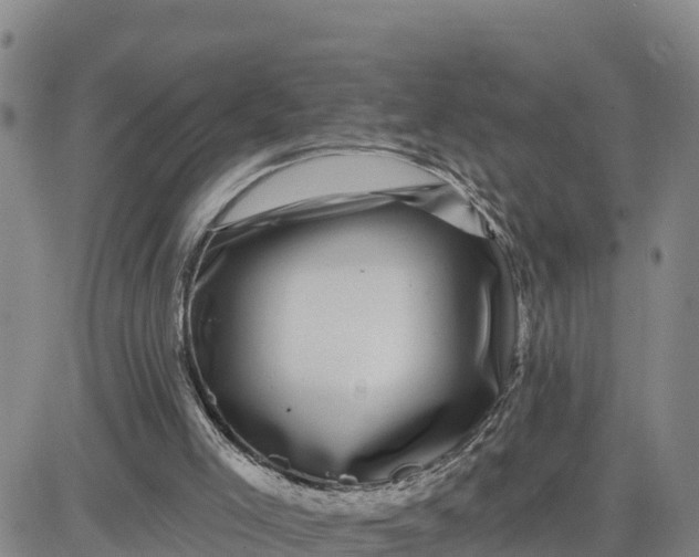 X0000080690005200612301501