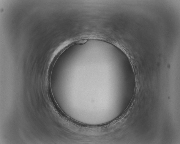 X0000080690008200612301501