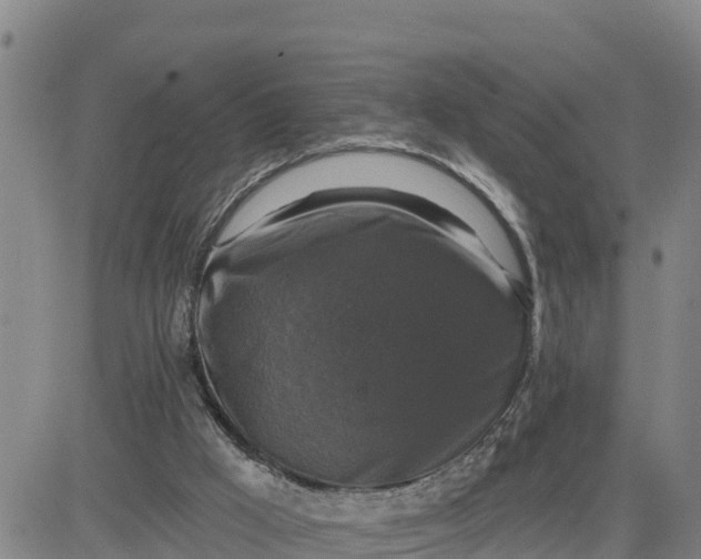 X0000080690009200612301501