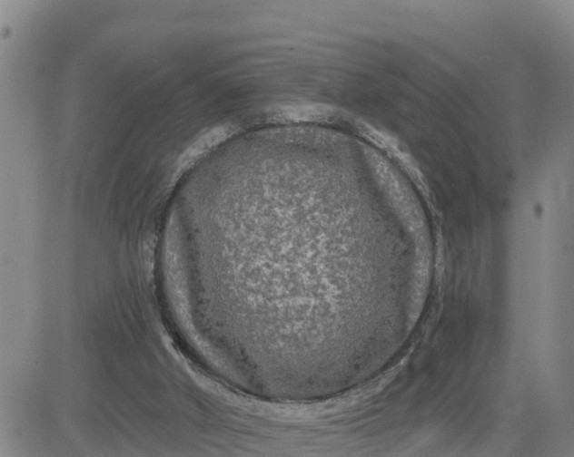 X0000080690010200612301501