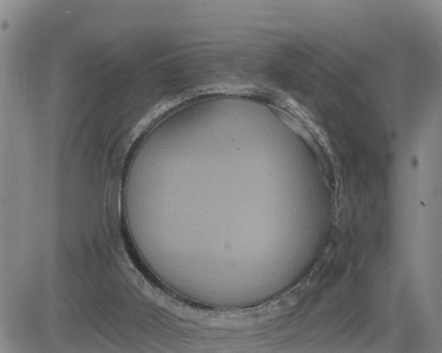 X0000080690011200612301501