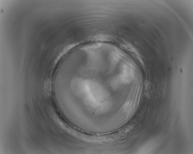 X0000080690012200612301501